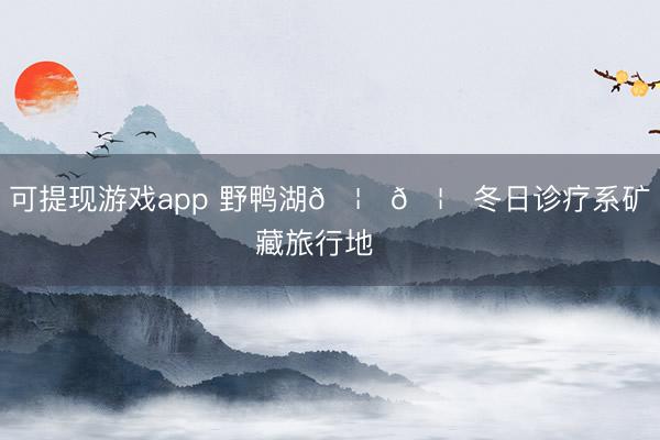 可提现游戏app 野鸭湖🦆🦆冬日诊疗系矿藏旅行地❄️