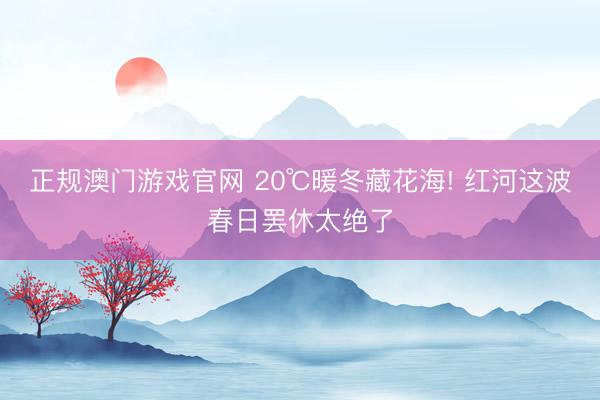 正规澳门游戏官网 20℃暖冬藏花海! 红河这波春日罢休太绝了