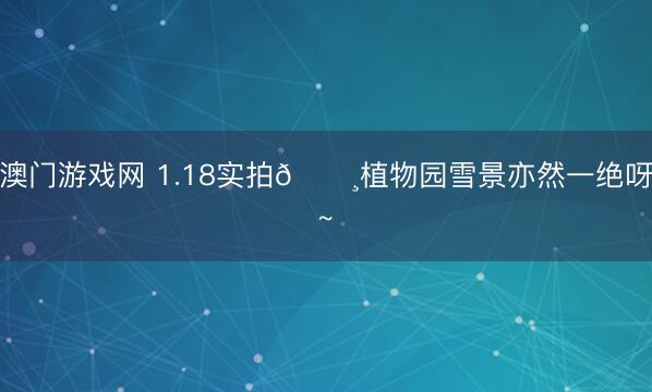 澳门游戏网 1.18实拍📸植物园雪景亦然一绝呀~❄