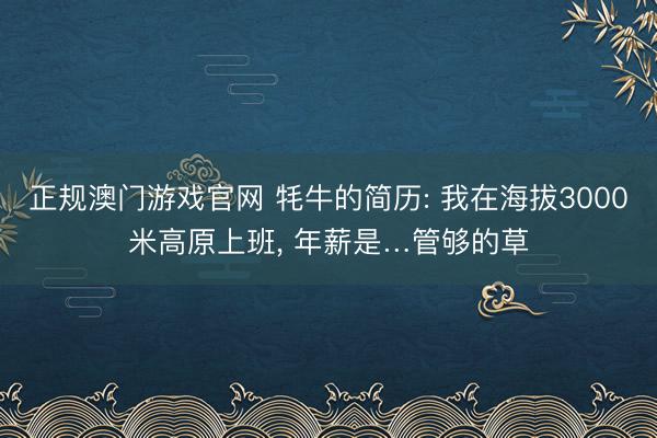 正规澳门游戏官网 牦牛的简历: 我在海拔3000米高原上班, 年薪是…管够的草