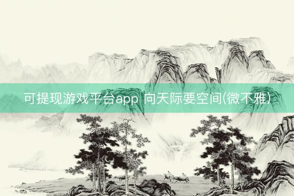 可提现游戏平台app 向天际要空间(微不雅)