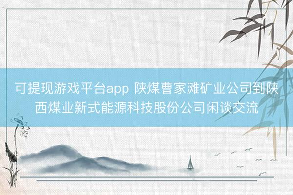 可提现游戏平台app 陕煤曹家滩矿业公司到陕西煤业新式能源科技股份公司闲谈交流