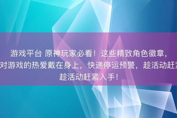 游戏平台 原神玩家必看！这些精致角色徽章，让你把对游戏的热爱戴在身上，快递停运预警，趁活动赶紧入手！