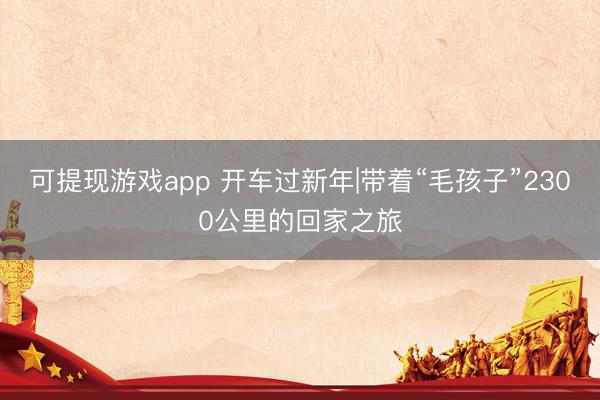 可提现游戏app 开车过新年|带着“毛孩子”2300公里的回家之旅