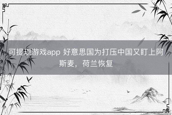 可提现游戏app 好意思国为打压中国又盯上阿斯麦，荷兰恢复