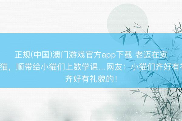 正规(中国)澳门游戏官方app下载 老迈在家带小奶猫，顺带给小猫们上数学课…网友：小猫们齐好有礼貌的！