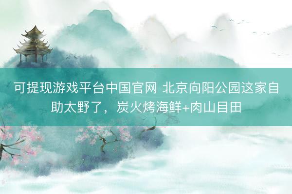 可提现游戏平台中国官网 北京向阳公园这家自助太野了,炭火烤海鲜+肉山目田