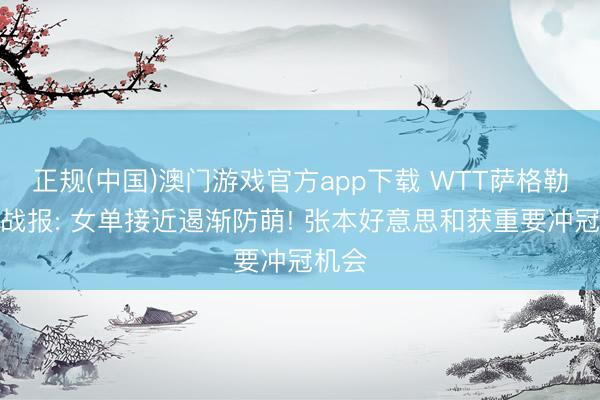 正规(中国)澳门游戏官方app下载 WTT萨格勒布赛战报: 女单接近遏渐防萌! 张本好意思和获重要冲冠机会